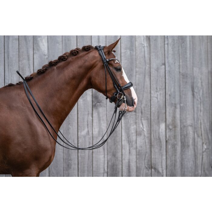 HKM Double Bridle - Kate